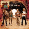 By The Tree - 2 For 1: World On Fire and Root