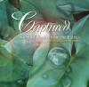 Alberto & Kimberly Rivera - Captured: Songs Of Destiny From The Father