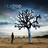 Bluetree - God Of This City