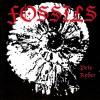 Product Image: Pete Ryder - Fossils