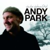 Product Image: Andy Park - Wonder Working God