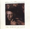 Charlie Peacock - The Secret Of Time