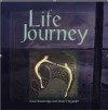 Product Image: Dave Bainbridge, David Fitzgerald - Life Journey
