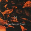 Product Image: Michael Cameron - Fragile