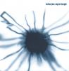 Product Image: Brother John - Sing For The Light