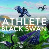 Product Image: Athlete - Black Swan