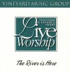 Product Image: Vineyard Music, Andy Park, Randy Butler - Touching The Father's Heart 20: The River Is Here