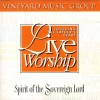 Vineyard Music, Cindy Reithmeier, David Ruis - Touching The Father's Heart 21: Spirit Of The Sovereign Lord