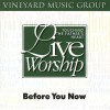 Vineyard Music, Terri Butler, Scott Brenner - Touching The Father's Heart 23 : Before You Now