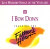 Product Image: Vineyard Music, Danny Daniels, Daphne Rademaker - Touching The Father's Heart 11: I Bow Down