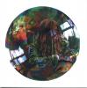 Product Image: Helen Rowe - Light Shot Through