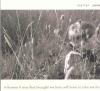 Product Image: Martyn Joseph - Whoever It Was That Brought Me Here Will Have To Take Me Home