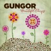 Product Image: Gungor  - Beautiful Things