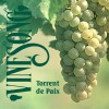 Product Image: Vinesong - Torrent de Paix